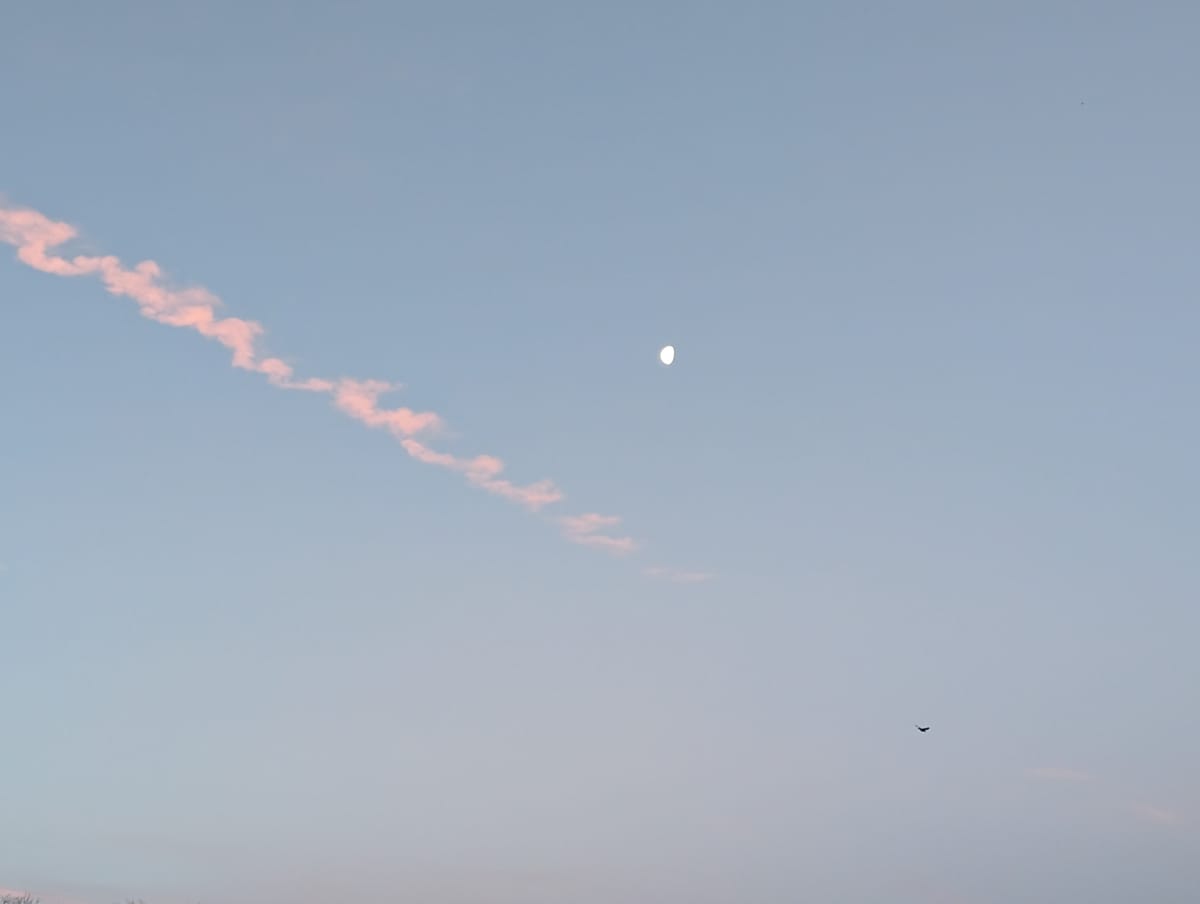 Moon in the morning. Light blue sky with streak of sun-pinked cloud next to 3/4 full moon.