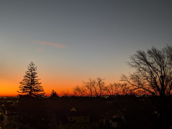 Sunrise over neighborhood with trees silhouetted against an orange and blue sky. 