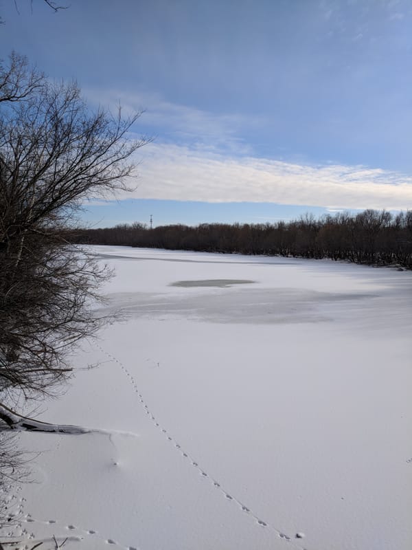 Frozen river with animal footprints on snow covered ice with trees on the banks and blue skies with clouds.