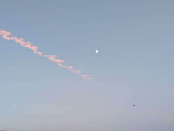 Moon in the morning. Light blue sky with streak of sun-pinked cloud next to 3/4 full moon.